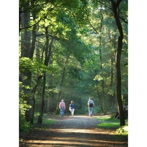 Vera van de Ven image 3