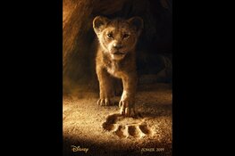 Flavour & Film met The Lion King