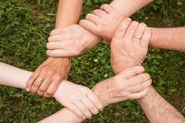Steeds meer Flevolandse bewoners wekken samen stroom op