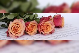 De Meerpaal organiseert Meezingcafé