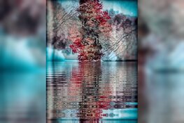 Kunstwerken docenten Beeldende Kunst te zien in De Meerpaal