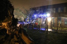 Zondagse storm Ciara houdt Nederland in greep (fotoalbum)