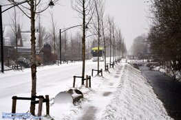 Winterse zondag in beeld