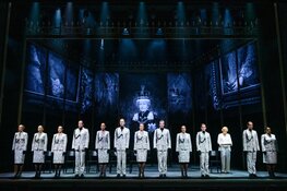 Diana & Zonen; drie dagen lang een grootse koninklijke musical in het theater van De Meerpaal!