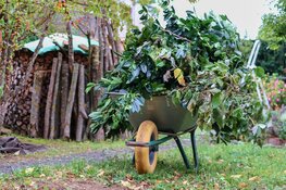 Provincie moedigt Flevolanders aan om tuin groener te maken