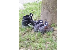 Bewoners vinden elkaar bij nieuwe wandelgroepen in Dronten West