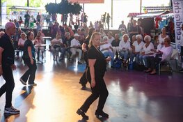 Eerste Festival Amateurkunst Dronten druk bezocht