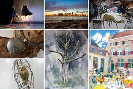 Docentenexpositie in De Meerpaal