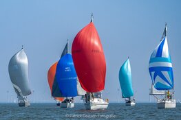 De Flevoland regatta 2024. Hou je van ZEILEN......  DOE DAN MEE!