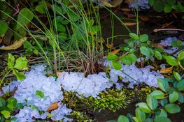 Guur herfstweer op komst: wind, kou en neerslag met mogelijk winterse buien
