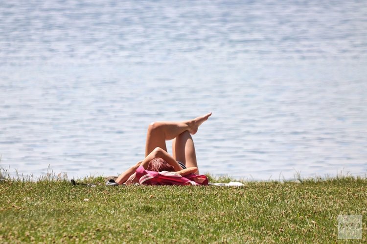 Rustige zomerse week met prima temperaturen voor de boeg