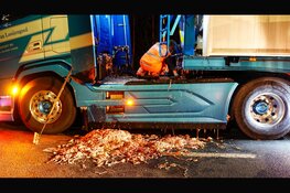 Vrachtwagen verliest lading slachtafval op N307