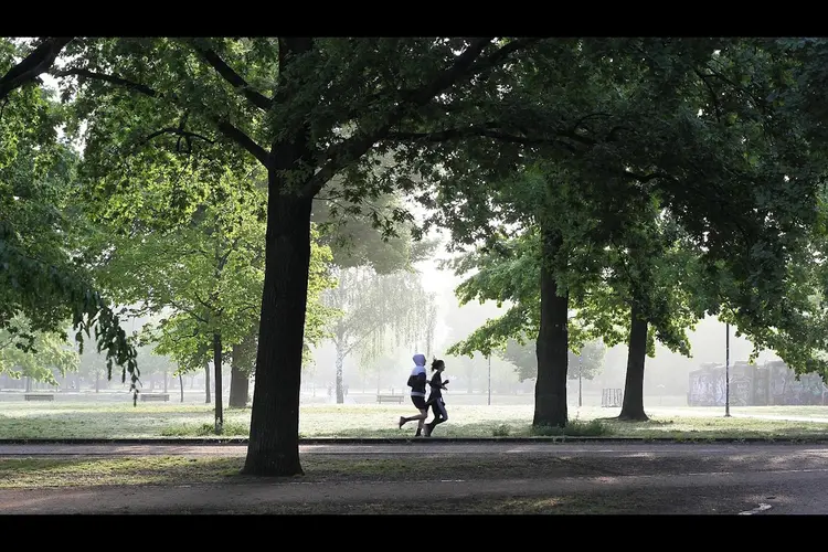 Flevoland enige provincie met stijging: toch voldoet minder dan de helft aan beweegrichtlijn