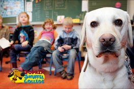 Hond voor de klas op Jenaplanschool de Klimboom in Dronten