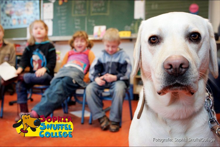 Hond voor de klas op Jenaplanschool de Klimboom in Dronten