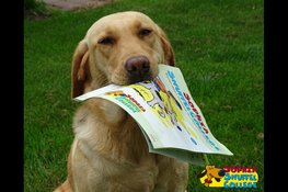 Hond voor de klas op Jenaplanschool de Klimboom in Dronten