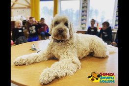 Hond voor de klas op Jenaplanschool de Klimboom in Dronten