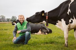 Campina Open Boerderijdagen 2026: boerderijen in Flevoland open voor publiek