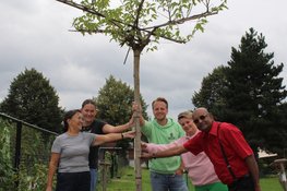 PRO Dronten plant moerbei en markeert nieuw hoofdstuk