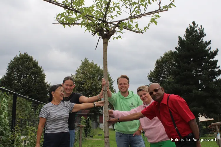 PRO Dronten plant moerbei en markeert nieuw hoofdstuk